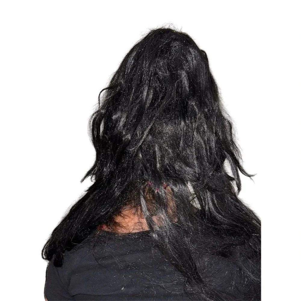 Elvira Mistress of the Dark Wig Halloween Costume Accessory Black needs brushing